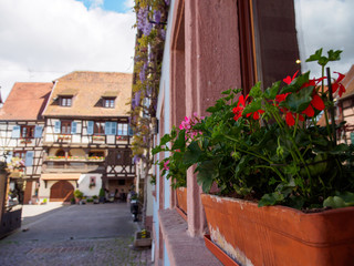 Wide closeup of blooming flowers in a flowerpot on a window-sill ledge at downtown Eguisheim, France. Alsace wine route. Travel and tourism.