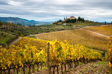 Fototapeta na wymiar Chianti Region, Tuscany. Vineyards in autumn. Italy