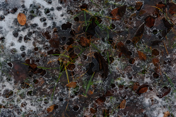 Overhead frozen ground with grass autumn leaves