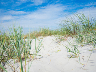 Sandy dunes on a beach of Baltic Sea, Germany