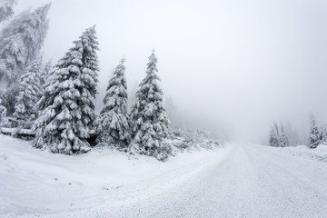 Fototapeta premium Frosty winter landscape