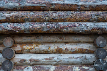 Fragment of a wooden fortress wall from raw logs. Texture.