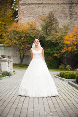 Fototapeta premium Beautiful bride in wedding dress near castle