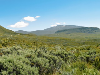 Savannah grassland against a montain background, Mount Kenya, Rift Valley