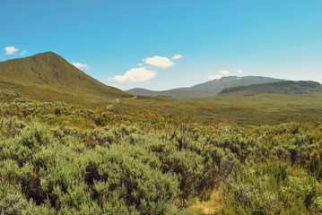 Savannah grassland against a montain background, Mount Kenya, Rift Valley