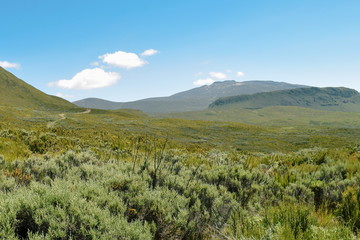 Savannah grassland against a montain background, Mount Kenya, Rift Valley