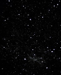 Christmas the night star sky falls snow a big fir-tree in snow night