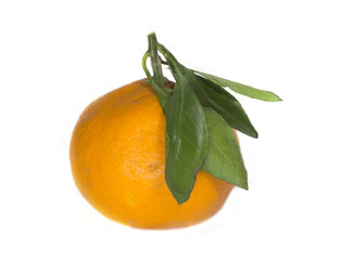 fresh tangerine with green leaves