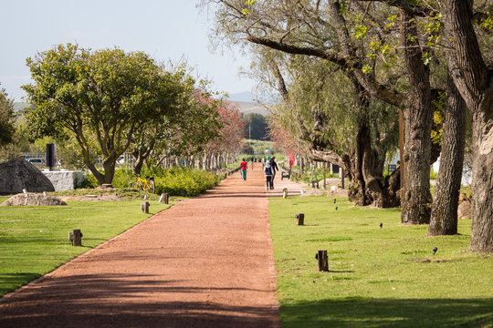 Spier Hotal & Wine Farm