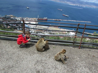 Boy make a photo of monkey and her baby on Gibraltar rock