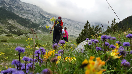 Hikers hiking trough the mountain peak and wild mountain flowers in the view
