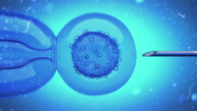 3D Animation of a DNA filled liquid being injected into an egg cell nucleus