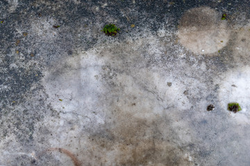 wet and moldy Granite table texture