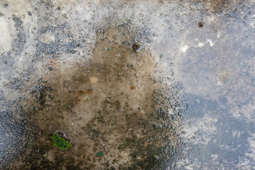 wet and moldy Granite table texture