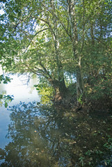 Etang des Gravières (DAX)
