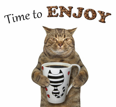 Fototapeta The cat is going to drink a cup of black coffee. Time to enjoy.  White background.