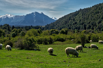 Patagonia Countryside