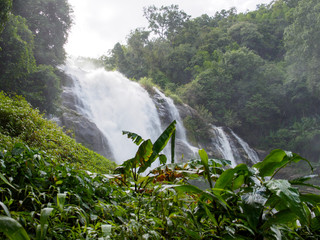 Wide view of the banana tree forest near Wachirathan falls on a cloudy day. Chom Thong, Chiang Mai,...
