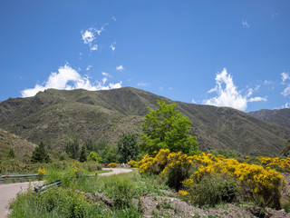 Villavicencio natural reserve. The Andes. Mendoza Province. Argentina