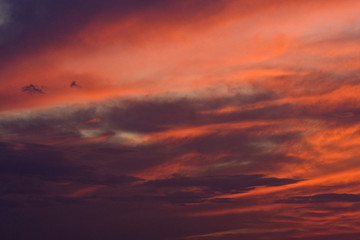 Obraz premium Burnt Orange Sunset