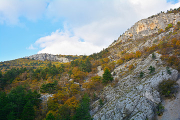 The autumnal landscape in the Val Rosandra Nature Reserve in Friuli Venezia Giulia, north east Italy