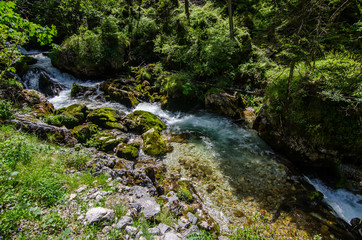 klarer wildbach im wald