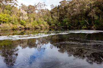 Circular Pool near Walpole in Western Australia creating a foam because of saponin.