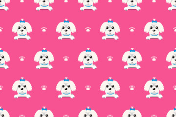 Vector cartoon character maltese dog seamless pattern for design.