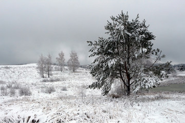 Beautiful winter landscape with snow-covered trees and fog.