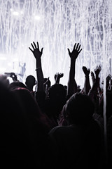 people at the live music concert