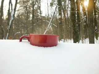A cup of tea in the snow in the winter forest at sunset