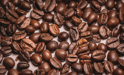 coffee beans closeup