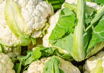 Farm fresh cauliflower on wooden background