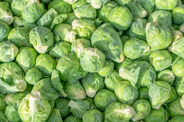 Farm fresh pile of brussel sprouts for sale at market
