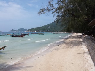 Fototapeta premium Koh Tao Island Thailand