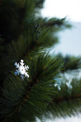 Big sparkle snowflake on christmas tree brunch with bokeh effect on neutral background