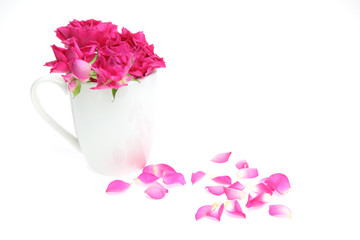 マグカップに挿した薔薇