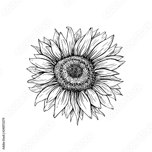 Download Sunflower Svg Free Black And White - Free Layered SVG Files - Download Sunflower Svg Free Black And White - Free Layered SVG Files - Download