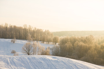 White snowy field in winter forest on orange sunset light. Beautiful landscape