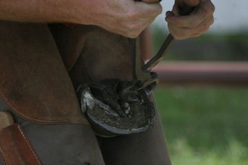 Farrier working on horses hoof