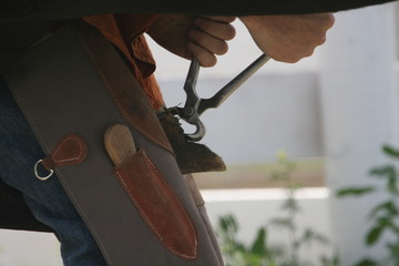 Farrier working on horses hoof