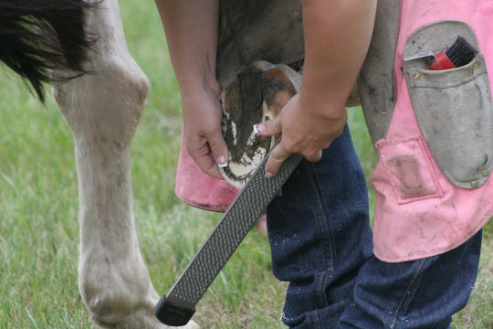 Farrier working on horses hoof