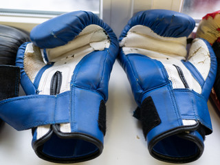 one pair of blue and white boxing gloves. close-up shot in fitness fighting center