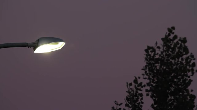 Farola de iluminaci&oacute;n exterior encendida al anochecer y copa de &aacute;rbol con las hojas movi&eacute;ndose por el viento