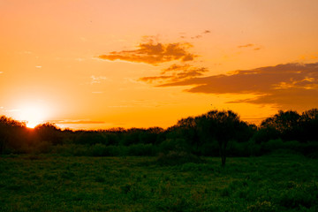 Atardecer de Campo