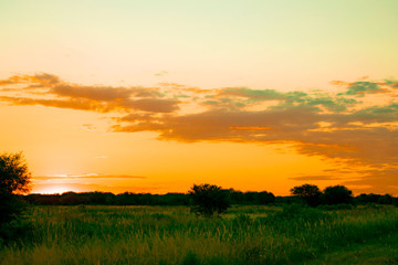 Atardecer de Campo