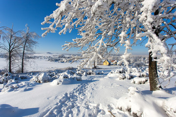 Mirow village in the winter, Jura Krakowsko Czestochowska region, Poland