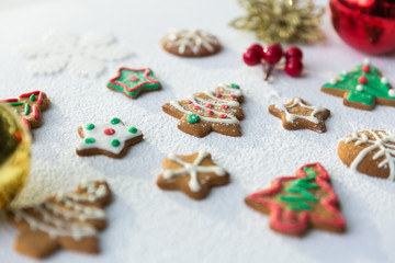 Obraz na płótnie Canvas Christmas biscuits-9