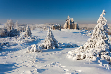 Fototapeta na wymiar ruins of the castle in Mirow in the winter, Jura Krakowsko Czestochowska region, Poland