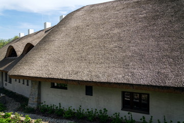 Traditional thatched roof from reed, sunny summer day